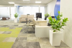 FOTOS CAPGEMINI 20 300x200