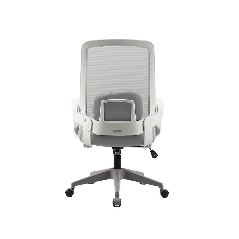 IAN4-GRIS-cla05a2b6 IAN4 GRIS Cla05a2b6
